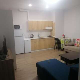 Апартаменты Cozy Gagarin Plaza Apartment Одесса Апартаменты с 1 спальней-14